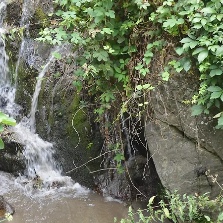 - El Sendero Banos De Montemayor